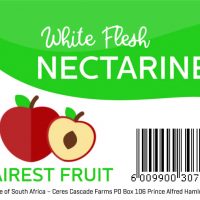 Fairest Fruit – White Flesh Nectarine