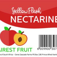 Fairest Fruit – Yellow Flesh Nectarine
