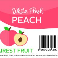 Fairest Fruit – White flesh peach