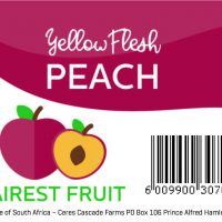 Fairest Fruit – Yellow Flesh Peach