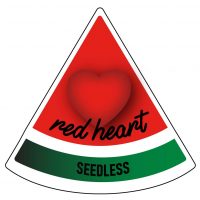 Watermelon Red Heart