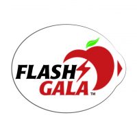 Flash Gala 17x22n